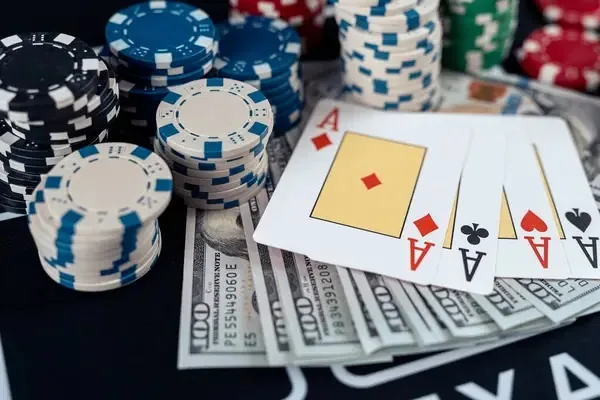 d555 What the Live Poker Channel Actually Offers